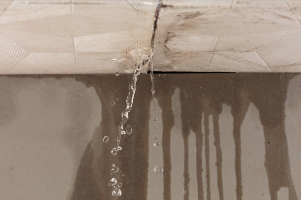 Professional Structural Drying technician working in Haviland, OH
